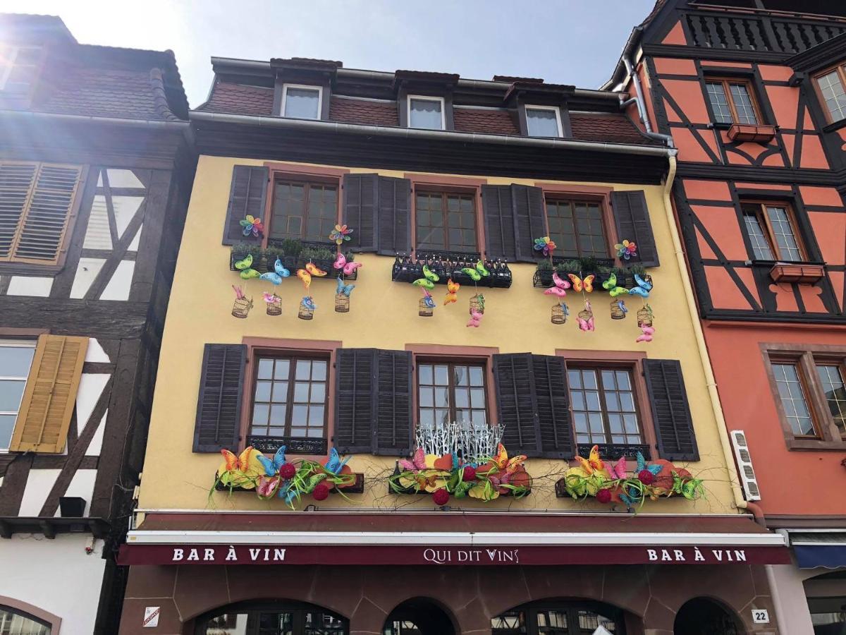 Les Appartements D'Alicia Obernai Exterior foto
