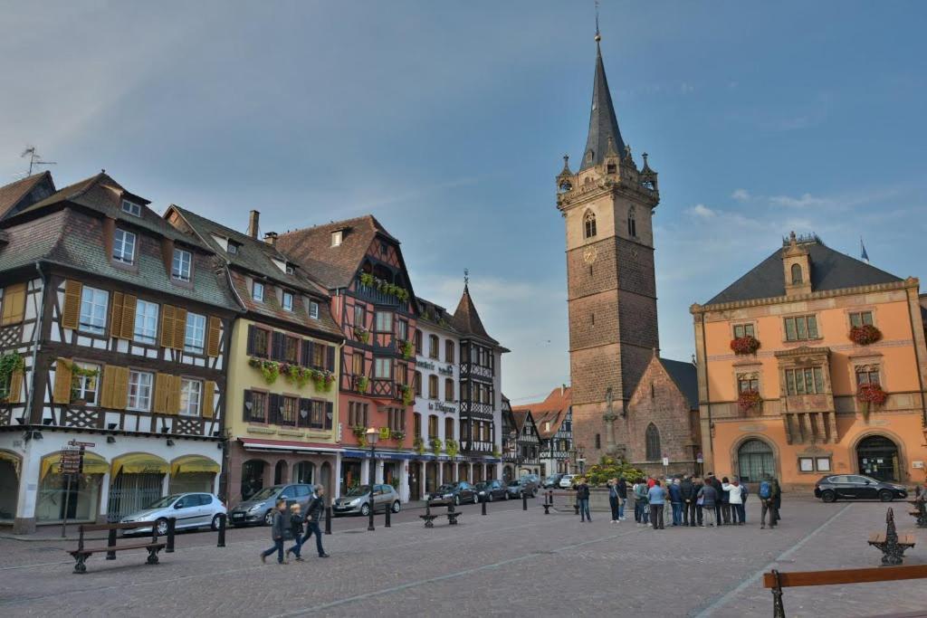 Les Appartements D'Alicia Obernai Exterior foto